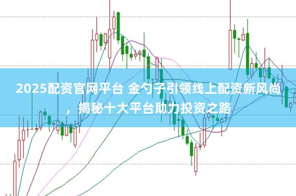 2025配资官网平台 金勺子引领线上配资新风尚，揭秘十大平台助力投资之路