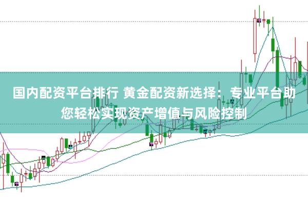 国内配资平台排行 黄金配资新选择：专业平台助您轻松实现资产增值与风险控制