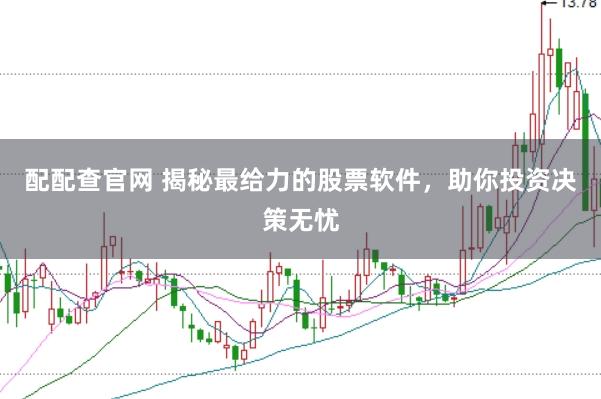 配配查官网 揭秘最给力的股票软件，助你投资决策无忧