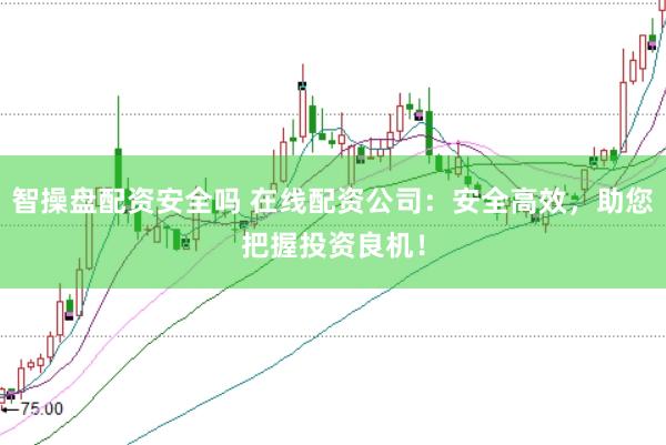智操盘配资安全吗 在线配资公司：安全高效，助您把握投资良机！