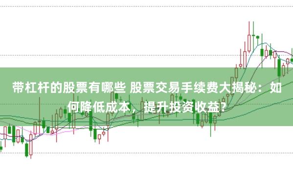 带杠杆的股票有哪些 股票交易手续费大揭秘：如何降低成本，提升投资收益？