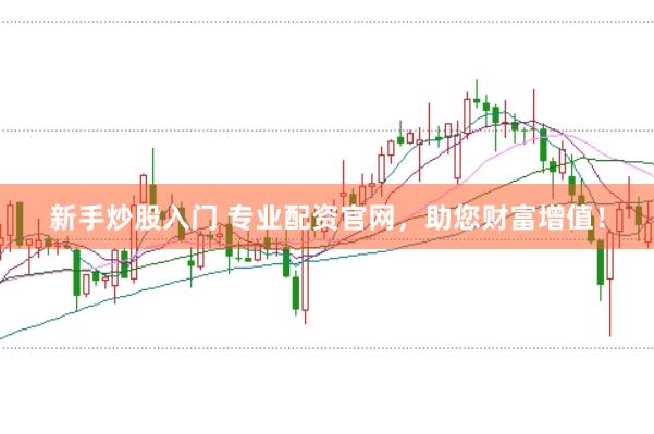 新手炒股入门 专业配资官网，助您财富增值！