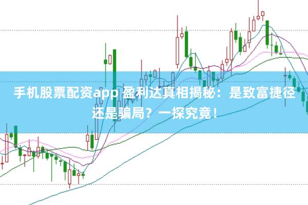 手机股票配资app 盈利达真相揭秘：是致富捷径还是骗局？一探究竟！