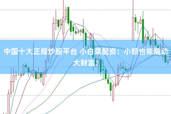 中国十大正规炒股平台 小白菜配资：小额也能撬动大财富！