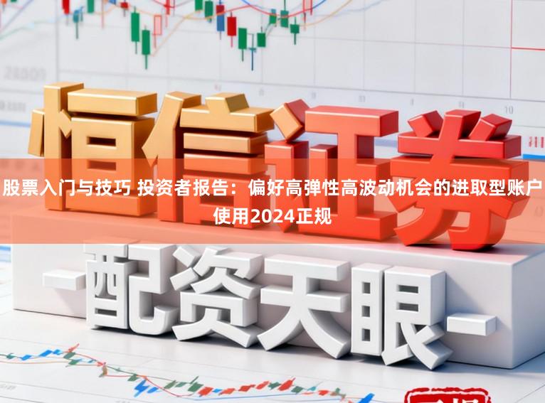股票入门与技巧 投资者报告：偏好高弹性高波动机会的进取型账户使用2024正规