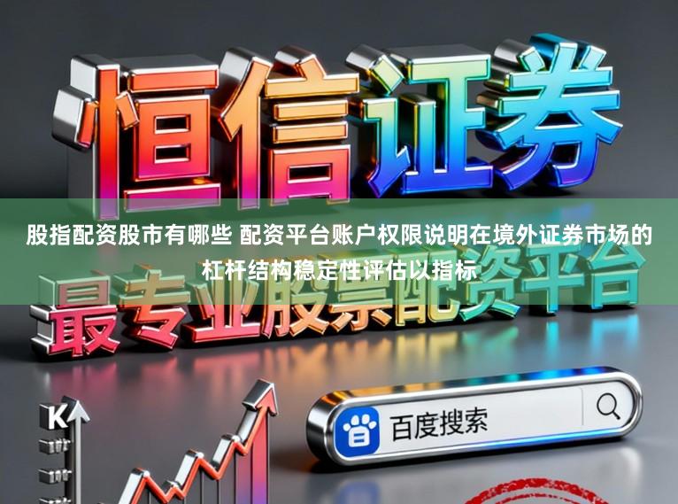 股指配资股市有哪些 配资平台账户权限说明在境外证券市场的杠杆结构稳定性评估以指标