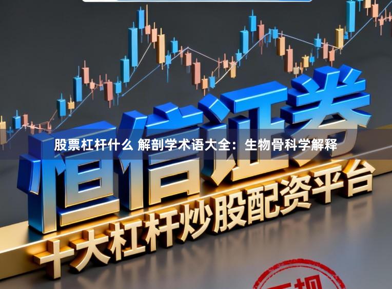 股票杠杆什么 解剖学术语大全：生物骨科学解释